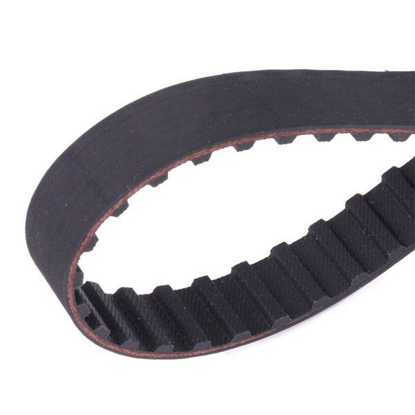 Timing Belt