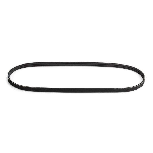V-ribbed Belt
