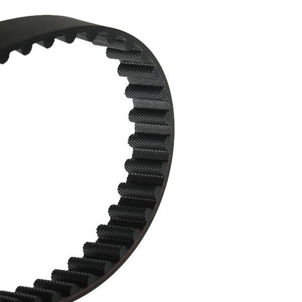 Timing Belt