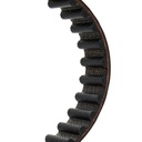 Timing Belt