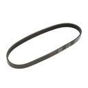 V-ribbed Belt