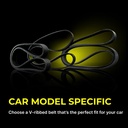 V-ribbed Belt
