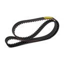 Timing Belt