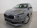 SKODA Fabia (Year of Construction 2022, 110 PS, Petrol)