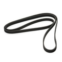 V-ribbed Belt