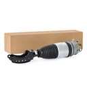 Air Suspension Strut