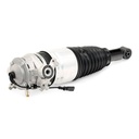 Air Suspension Strut