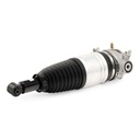 Air Suspension Strut