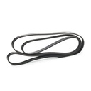 V-ribbed Belt