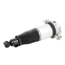 Air Suspension Strut