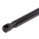 Gas Spring, bonnet