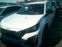 PEUGEOT 2008 (Year of Construction 2024, 100 PS, Petrol)