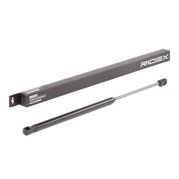 Gas Spring, boot/cargo area