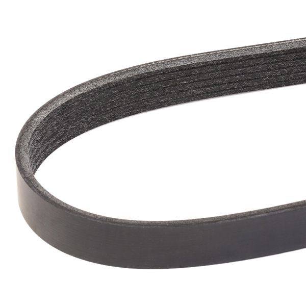 V-ribbed Belt