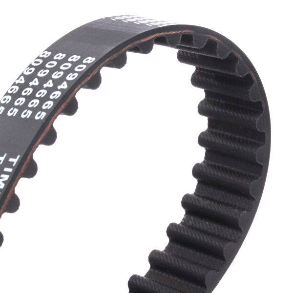 Timing Belt