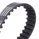 Timing Belt