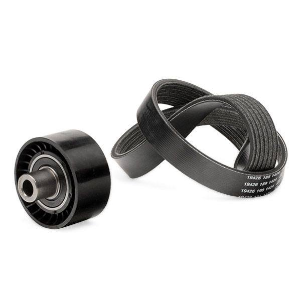 V-ribbed Belt Set