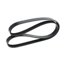 V-ribbed Belt