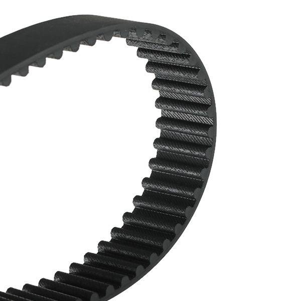 Timing Belt