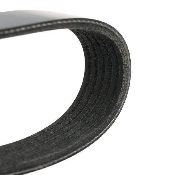 V-ribbed Belt