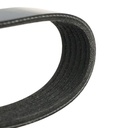 V-ribbed Belt