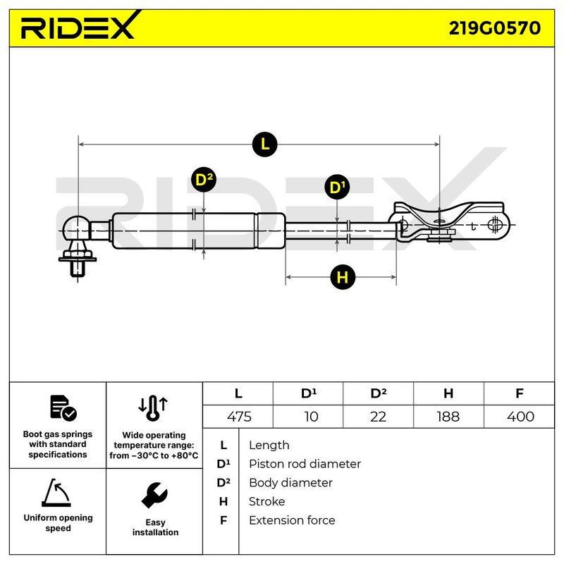 Gas Spring, boot/cargo area