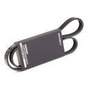 V-ribbed Belt