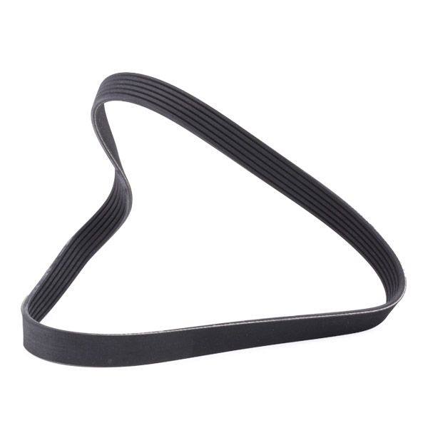 V-ribbed Belt