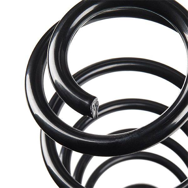 Suspension Spring