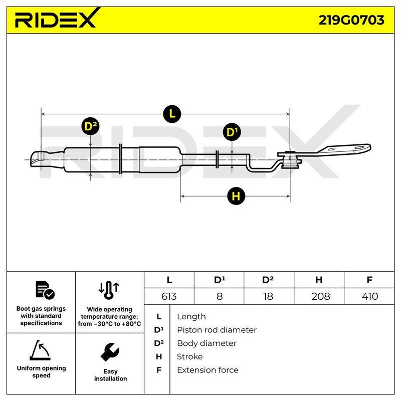 Gas Spring, boot/cargo area