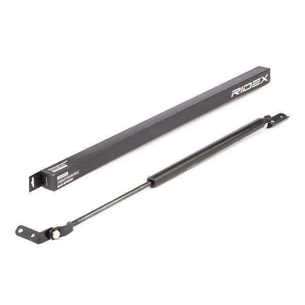 Gas Spring, boot/cargo area