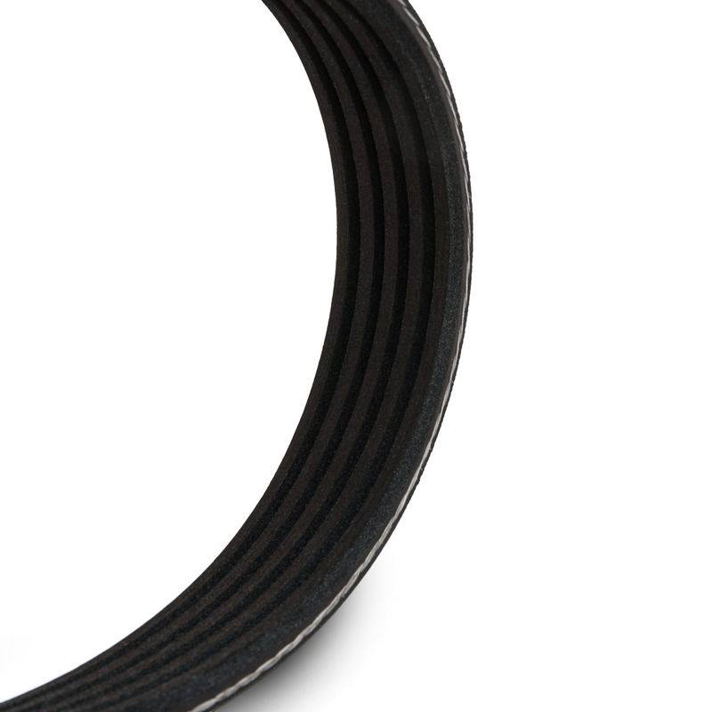 V-ribbed Belt
