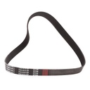 V-ribbed Belt