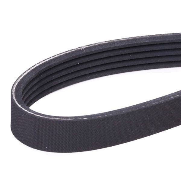 V-ribbed Belt