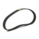 Timing Belt