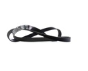 V-ribbed Belt Set