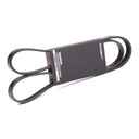 V-ribbed Belt