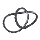 V-Belt
