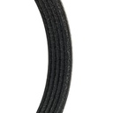 V-ribbed Belt