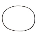 Timing Belt