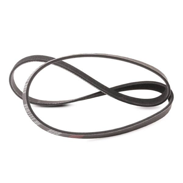 V-ribbed Belt