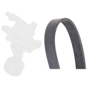 V-ribbed Belt Set