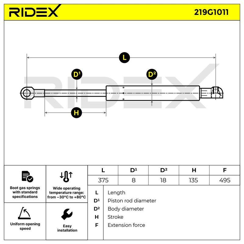 Gas Spring, boot/cargo area