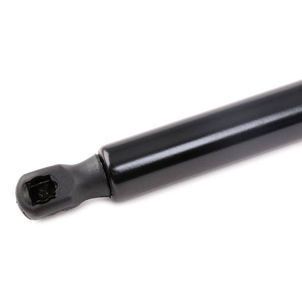 Gas Spring, boot/cargo area
