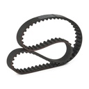 Timing Belt