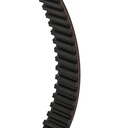 Timing Belt