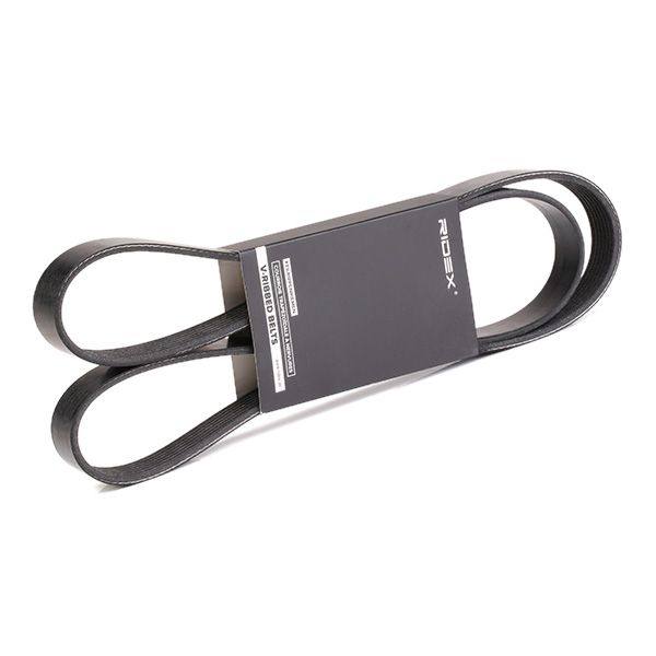 V-ribbed Belt