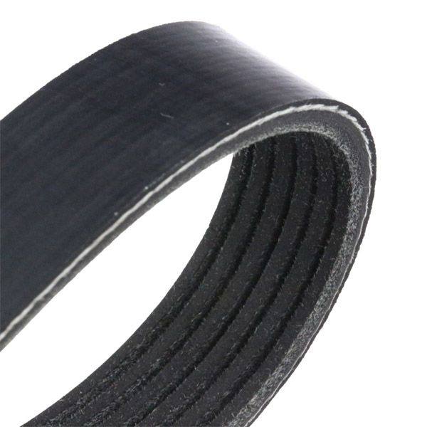V-ribbed Belt