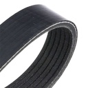 V-ribbed Belt