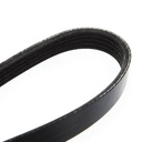 V-ribbed Belt